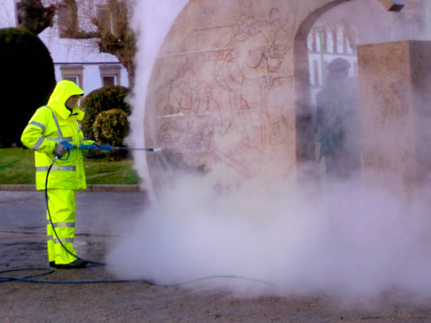 Best Garage Pressure Washing  in Georgetown, IL