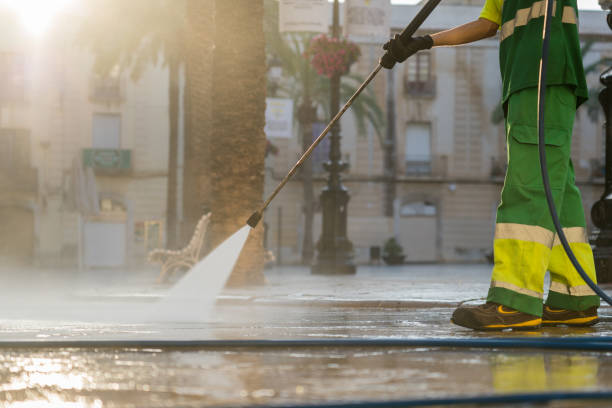 Best Roof Pressure Washing  in Georgetown, IL